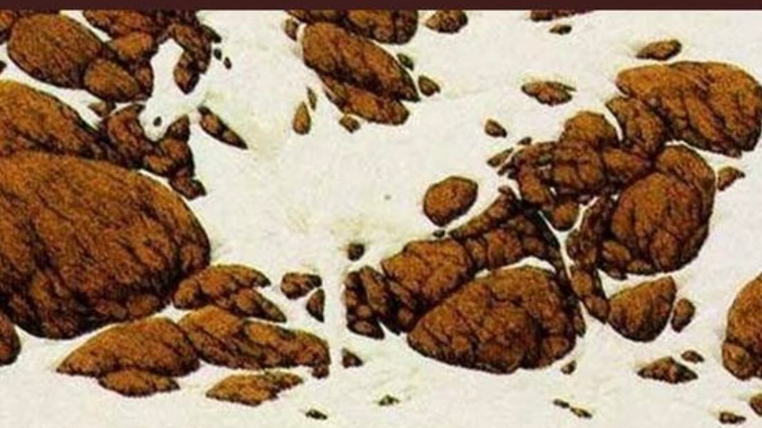 Encuentra el caballo oculto.