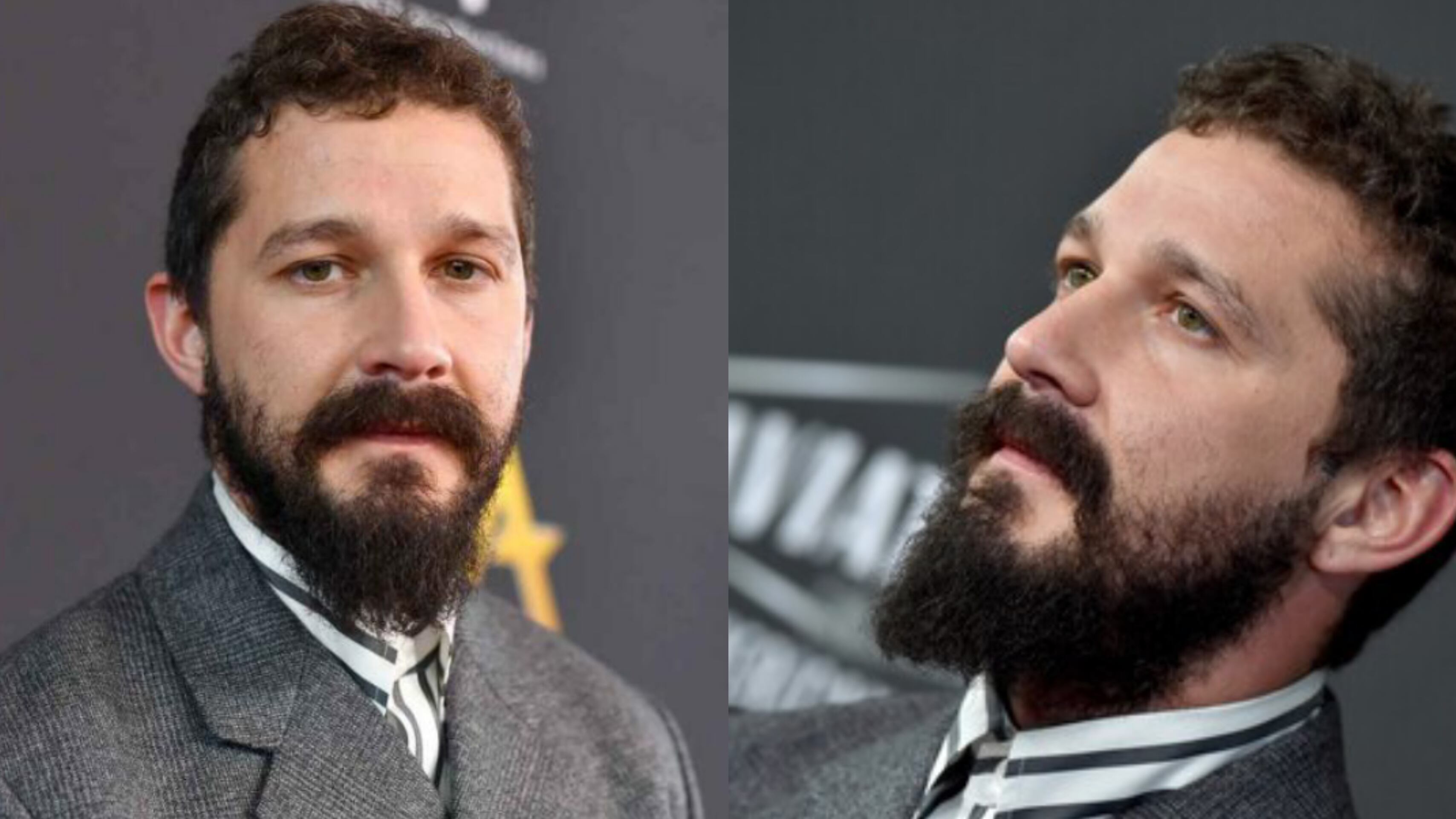 Shia LaBeouf