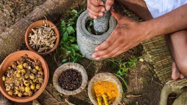 La primera cumbre de medicina tradicional se llevó a cabo recientemente en la India.