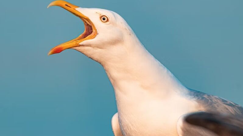 Este hombre se llevó un gran susto