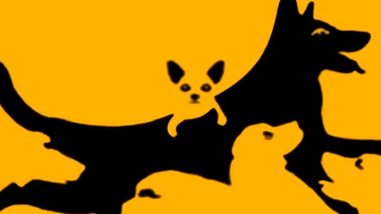 ¿Cuántos perros ves?