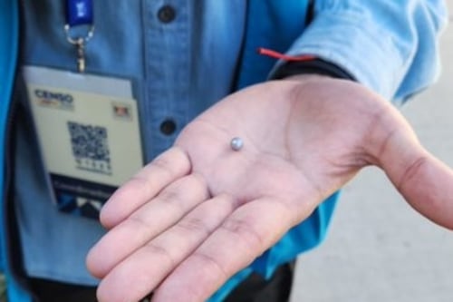 “Le llegó en la pierna”: denuncian agresión con arma de fuego en contra de censista que encuestaba en Rancagua