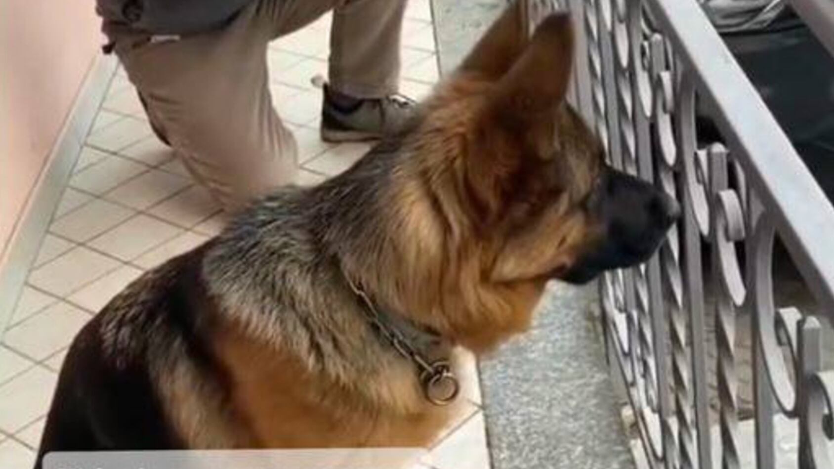 Un vínculo a prueba del paso de los años