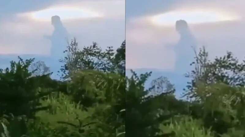 La naturaleza es sorprendente