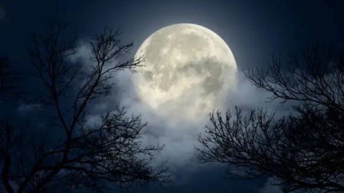 Los tres signos mas beneficiados con el brillo de la Superluna de Cosecha