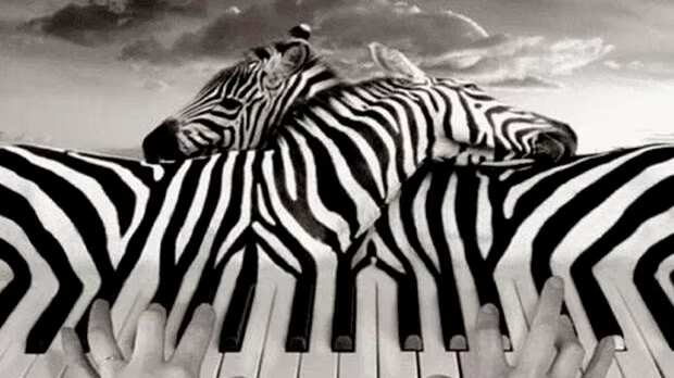 Elige uno de los objetos.