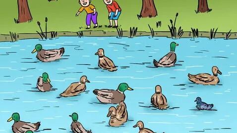 ¿Cuál animal es el intruso?