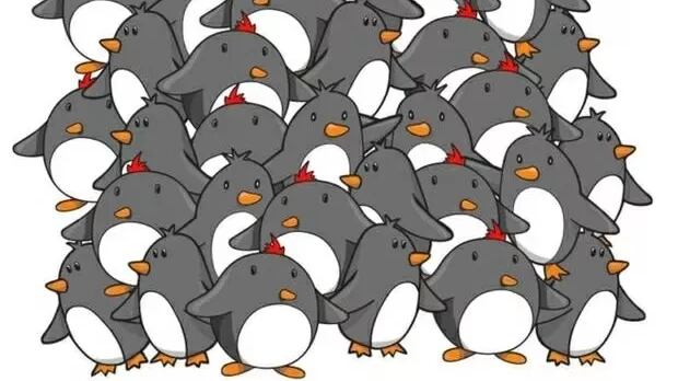 Encuentra el pingüino sin el pico.