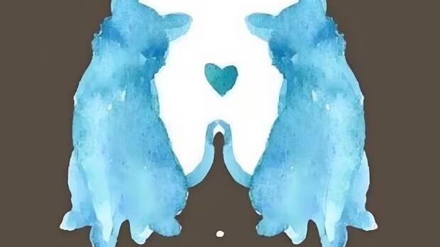 Elige una de las siluetas.