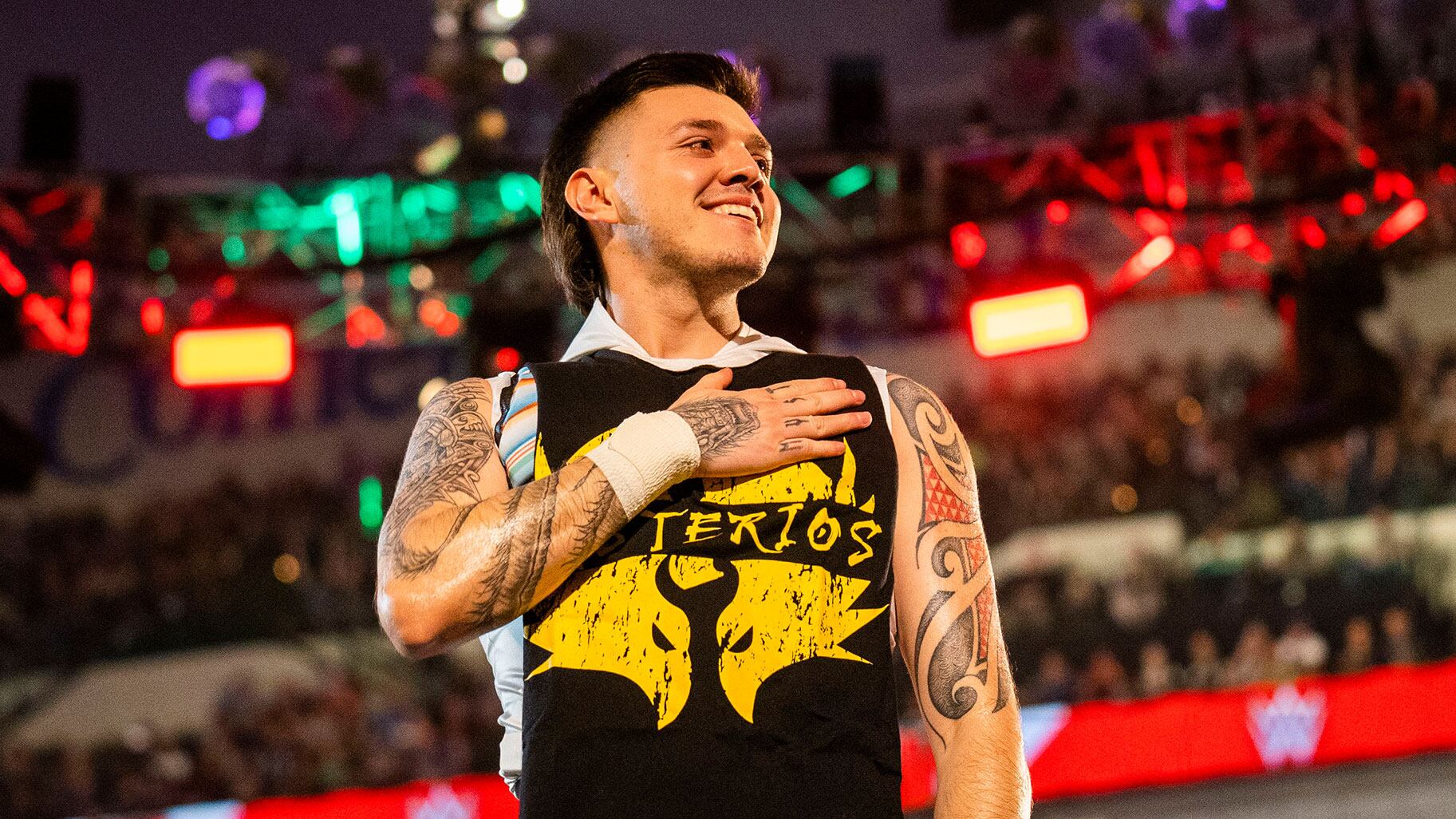 El esteta quiere brillar en WWE.