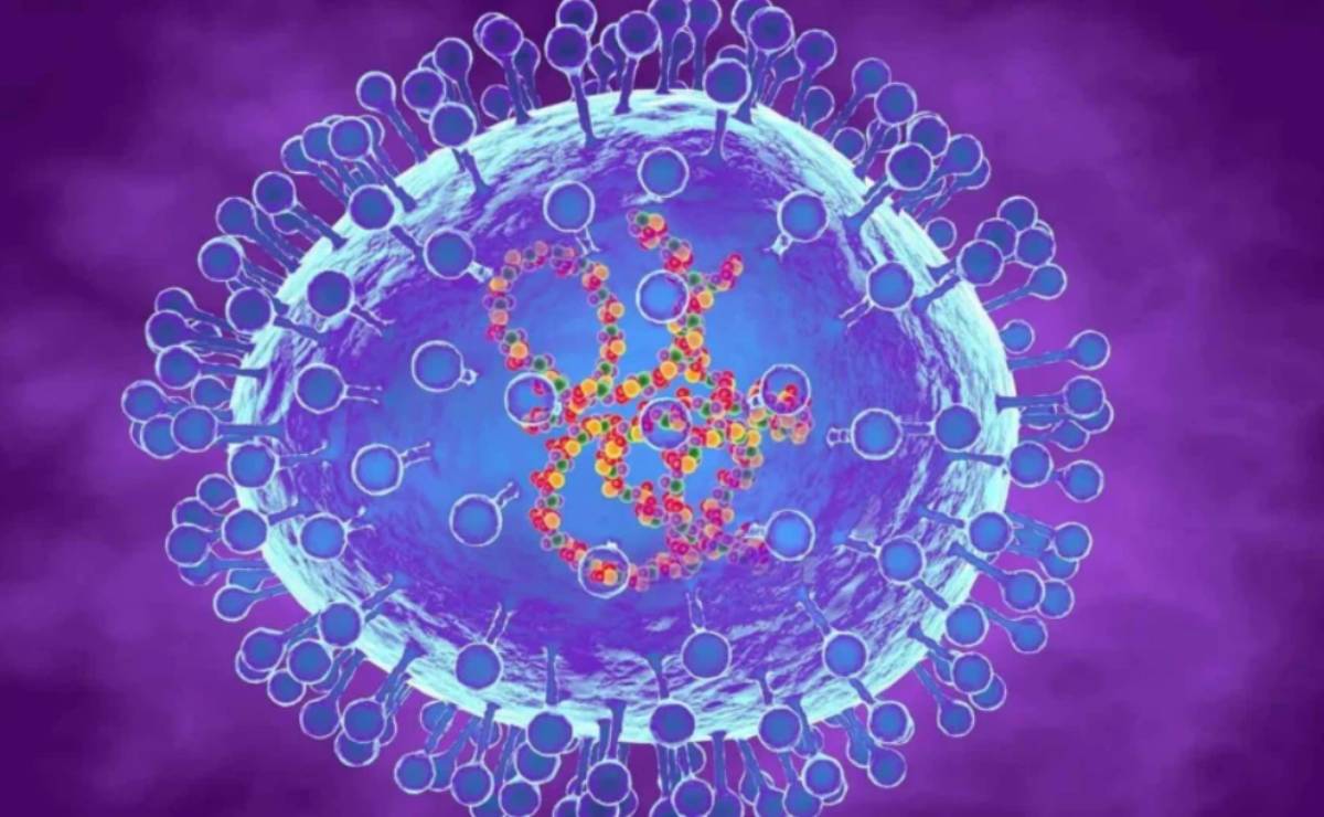 ¿Qué es el metapneumovirus humano y como se propaga?