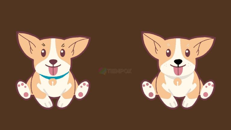 Localiza las diferencias.