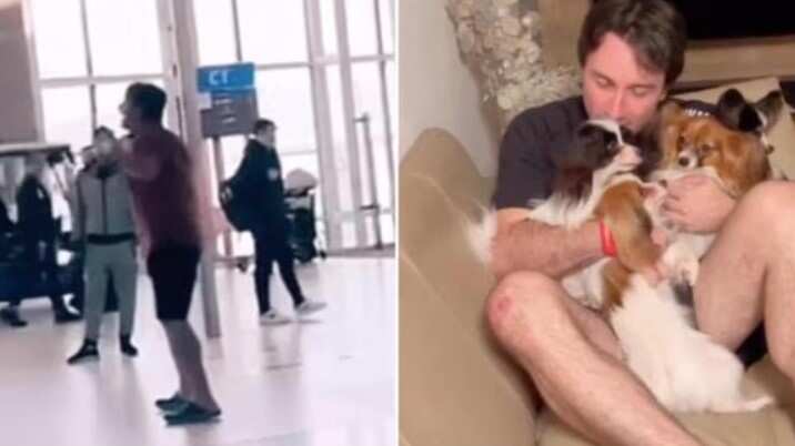 Estas mascotas eran como sus hijos