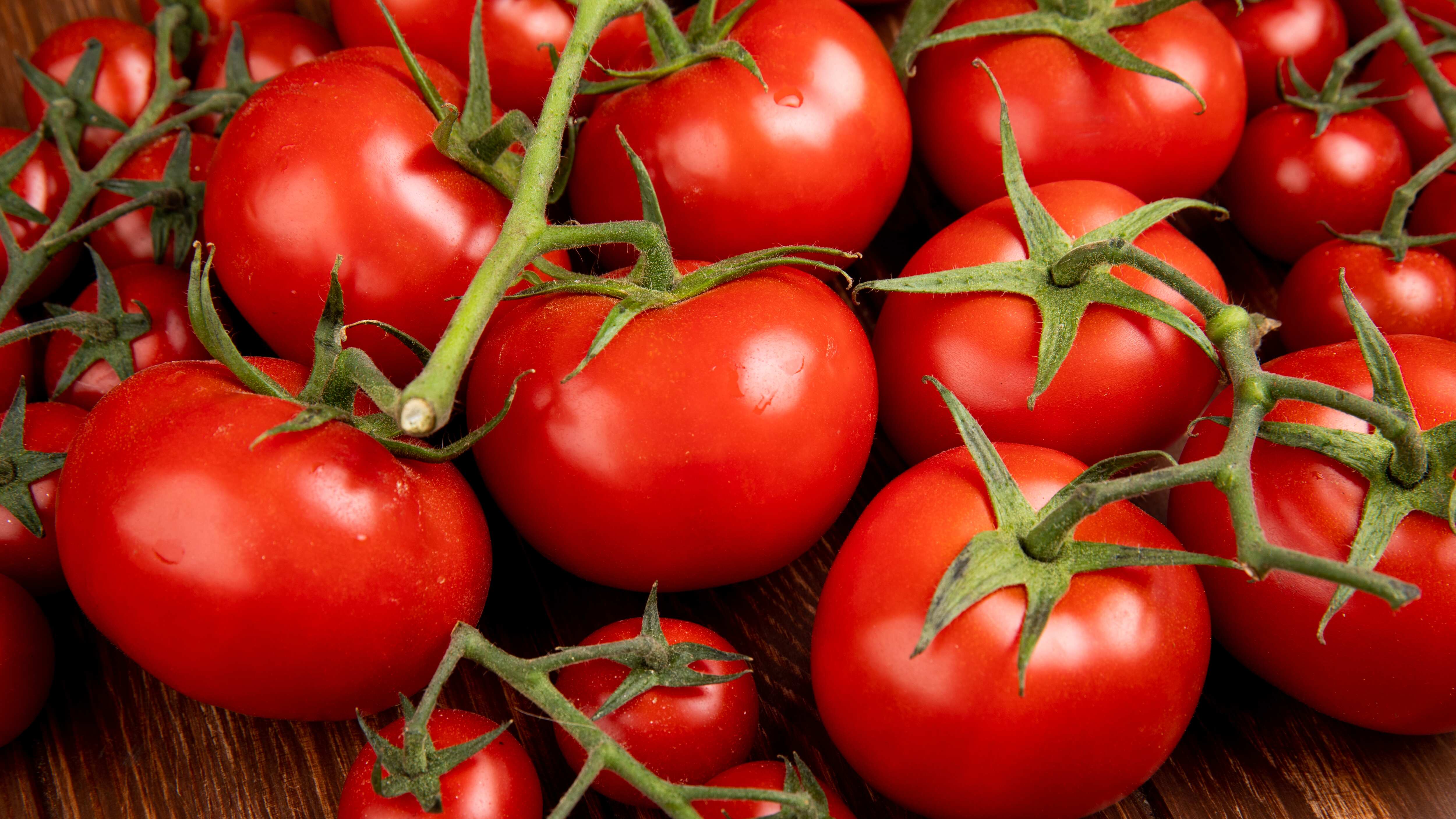 Un tomate crudo, dice la EOL, contiene un 95% de agua, 4% de carbohidratos y menos de un 1% de grasa y proteína comestible. Foto: Freepik.