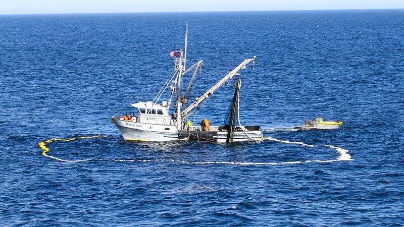 Debido a la perturbación climática esta suspendida la pesca de salmon | Foto: Referencial