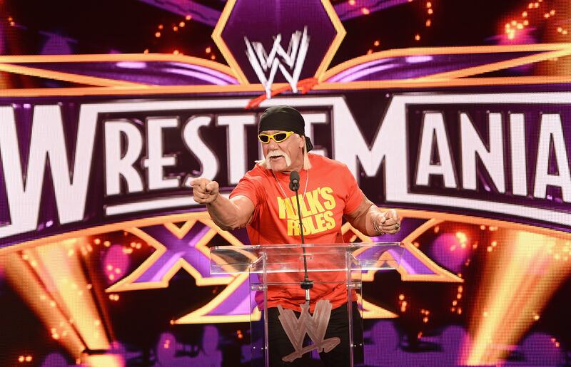 Hulk Hogan WWE
