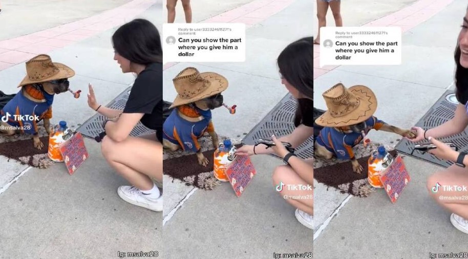El divertido video se hizo viral en Tik Tok