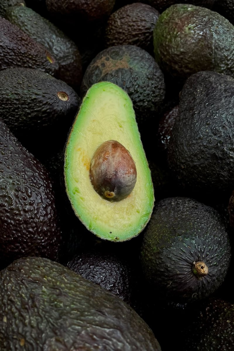 Escasez de aguacate en Estados Unidos