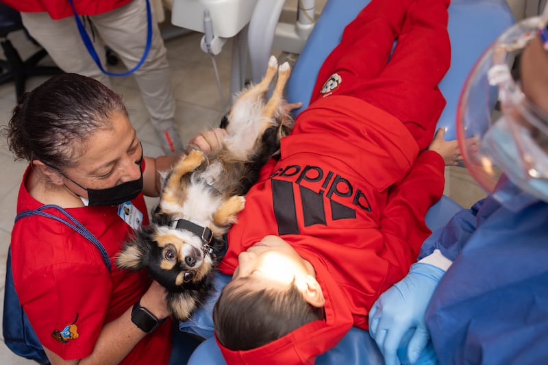 Se ha demostrado que la terapia con perros se asocia con una liberación de la hormona oxitocina, vinculada al bienestar emocional. Foto: cortesía.