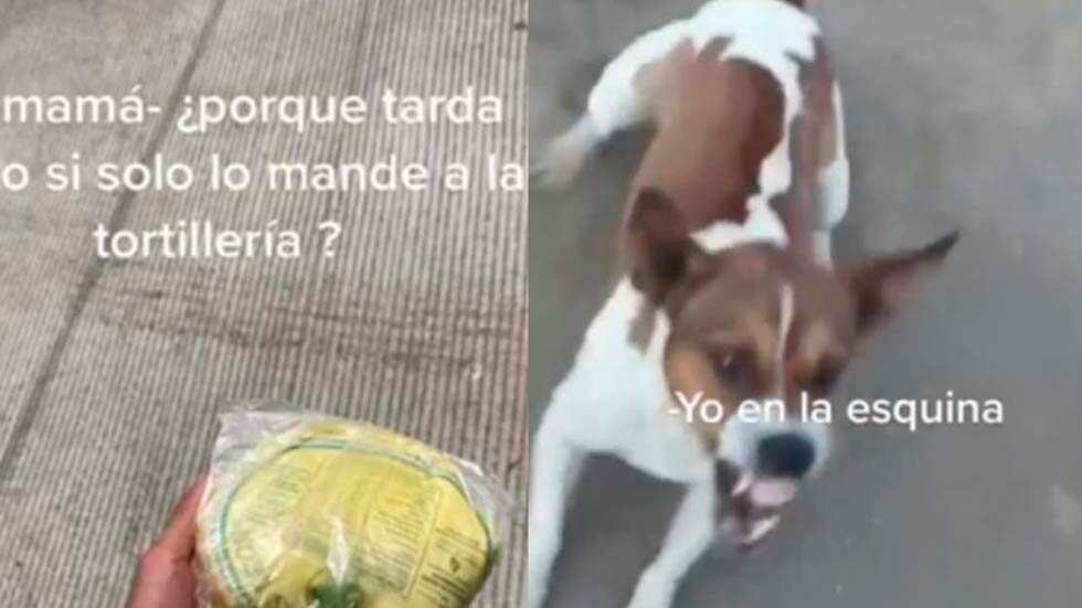 Esto creó un momento muy curioso que quedó grabado en video