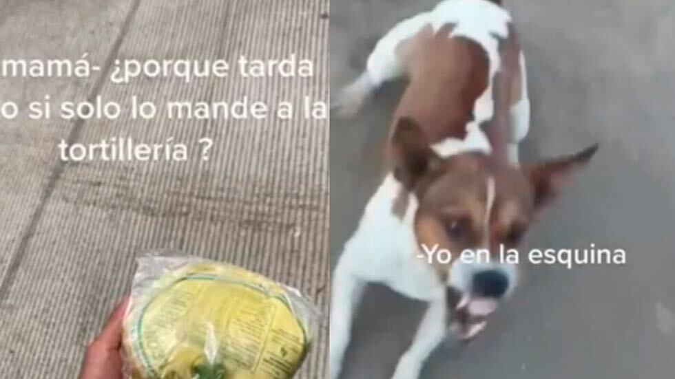 Esto creó un momento muy curioso que quedó grabado en video