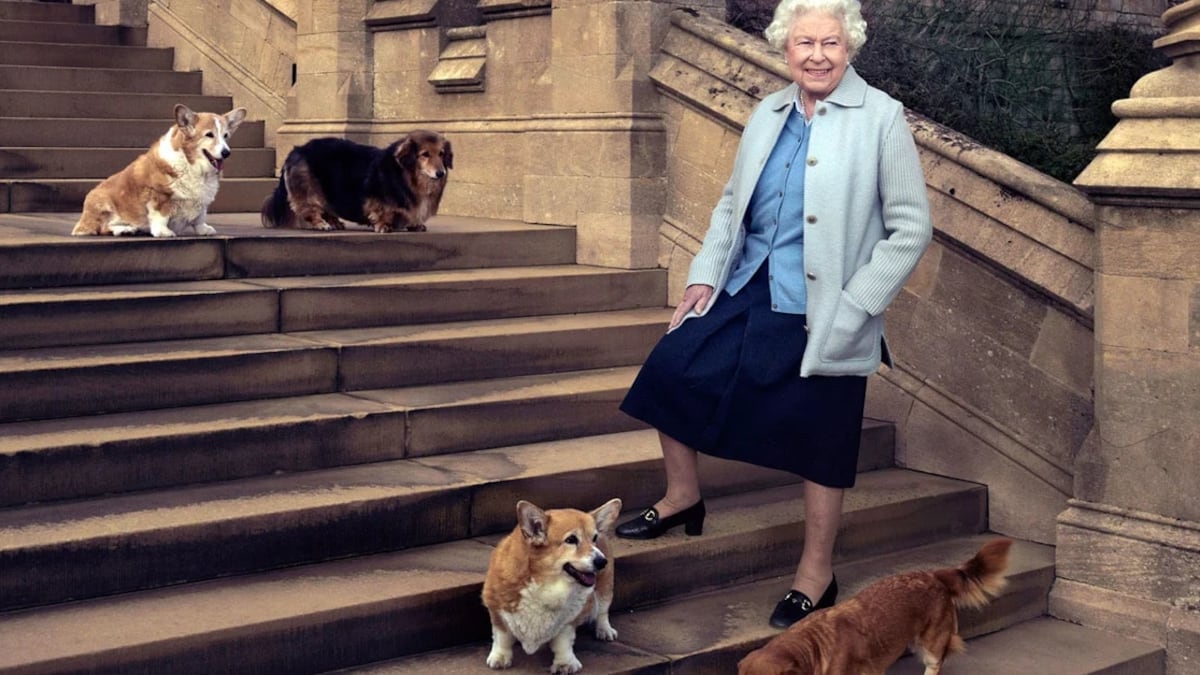 Reina Isabel II con sus perros.