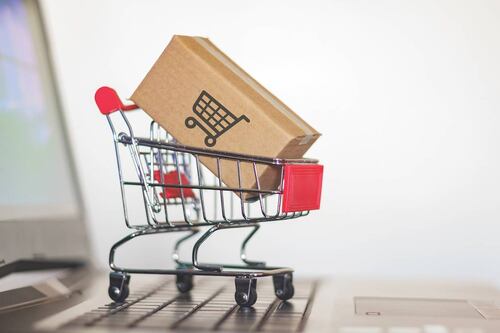 Una desagradable sorpresa: mujer compra freidora de aire por Amazon y termina recibiendo un reptil