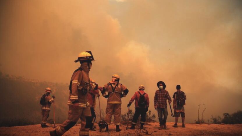 Incendio forestal en la Región de Valparaíso | Agencia Uno