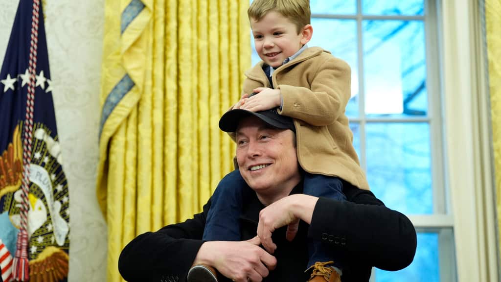 Donald Trump Elon Musk