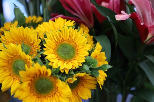 Las mejores flores de primavera-verano para adornar el hogar