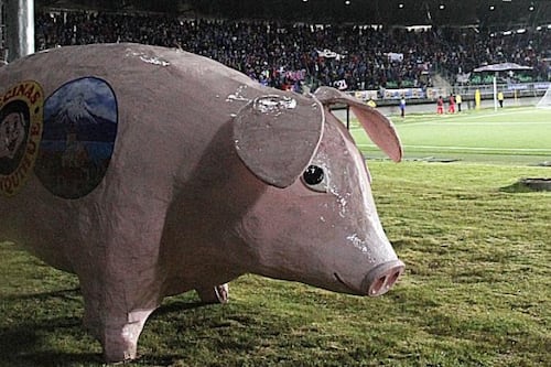 Mítica mascota de Deportes Puerto Montt: Épico regreso del Chancho Lorenzo al Estadio Chinquihue