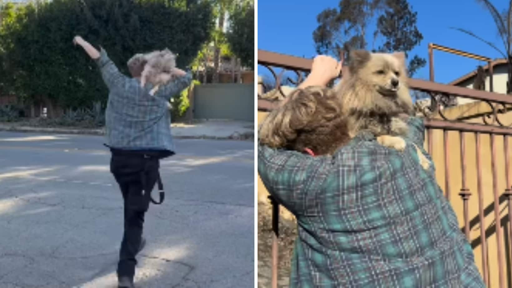 Su dueño encontró a su mascota.