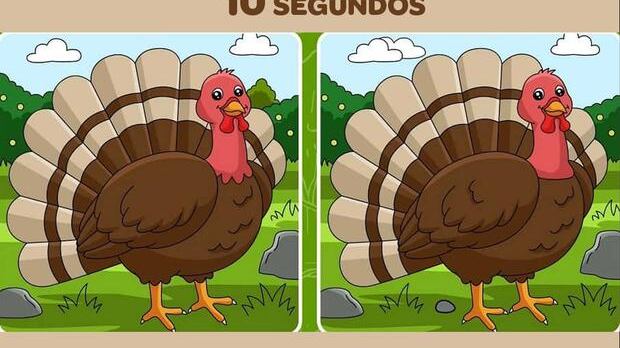 Encuentra las diferencias de la imagen.