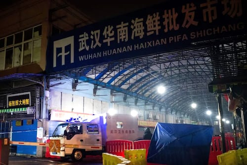Estudios científicos aseguran que el mercado de Huanan fue el origen de la pandemia