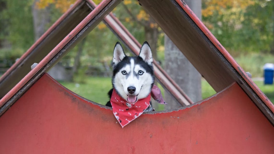 El bicarbonato de sodio es un buen sustituto del cloro