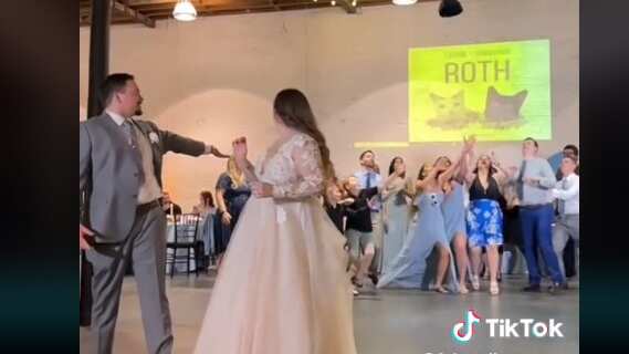 Lanzan gato de peluche en su boda en lugar del tradicional ramo