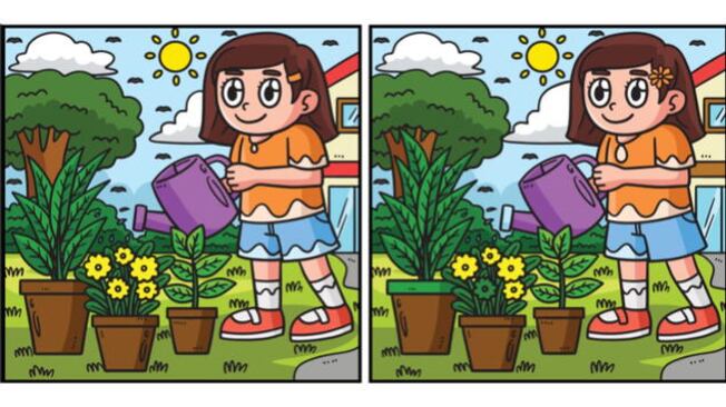 Descubre las diferencias.