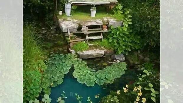 Encuentra el jugador oculto.