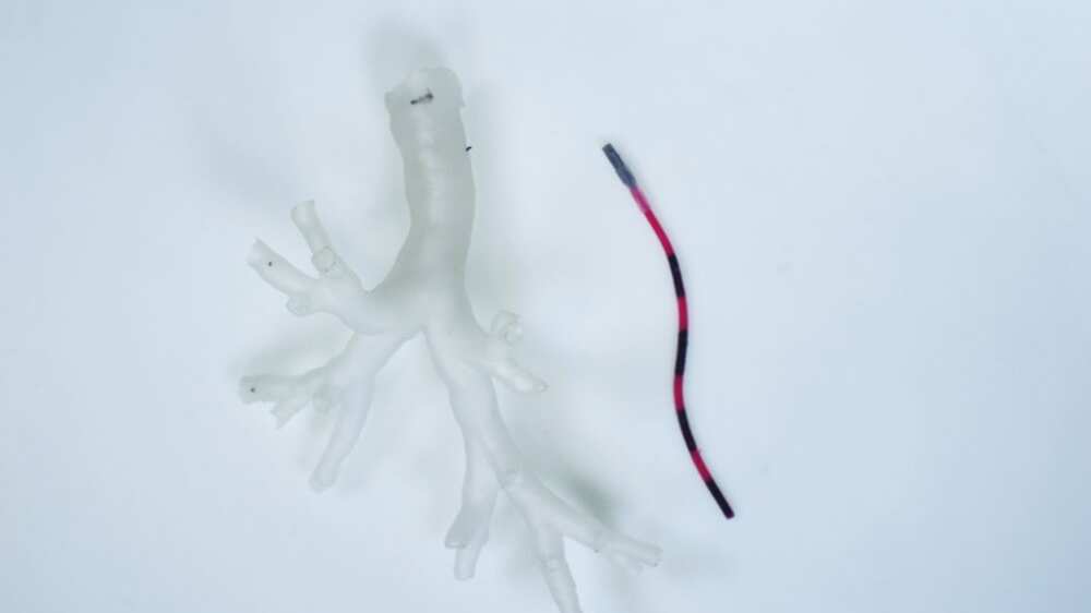 Mini robot se adentra en los pulmones