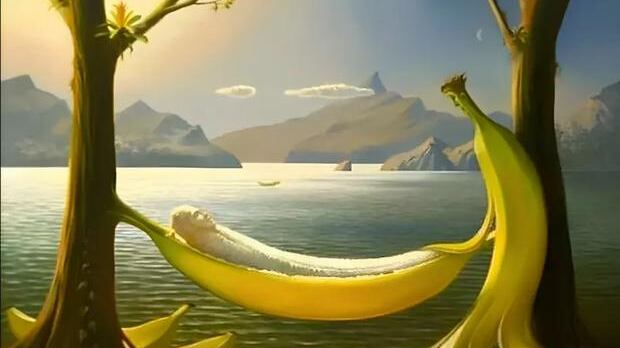 Elige una de las opciones.