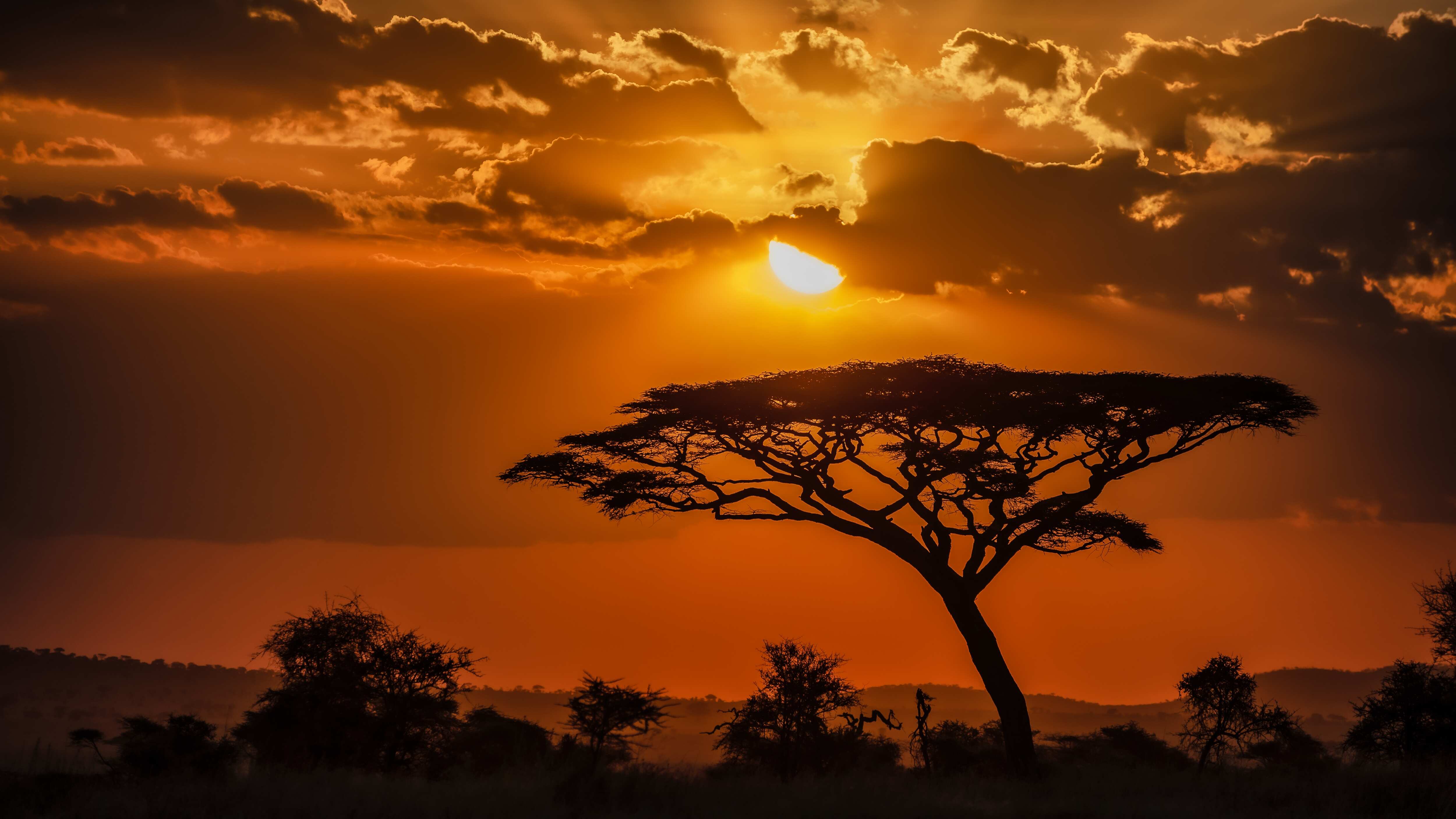 Cada 25 de mayo se celebra el Día de África como conmemoración de la fundación en 1963 de la Organización para la Unidad Africana, actualmente conocida como Unión Africana. Foto: Freepik.