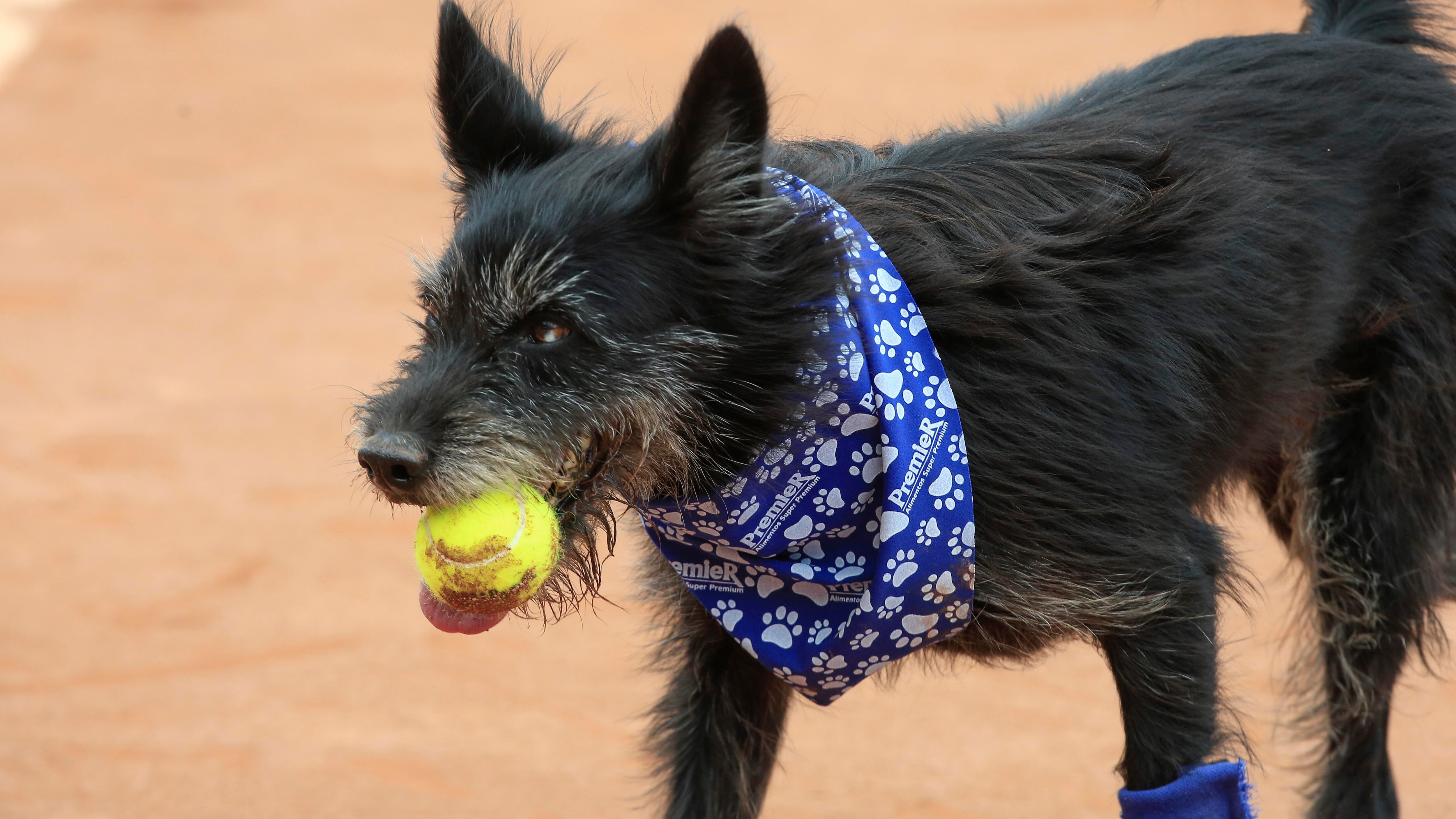 Foto por: Agencia EFE