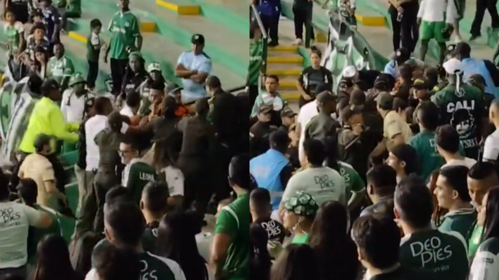 Hinchas del Deportivo Cali se fueron a los golpes en las tribunas del Palmaseca durante el juego contra Nacional