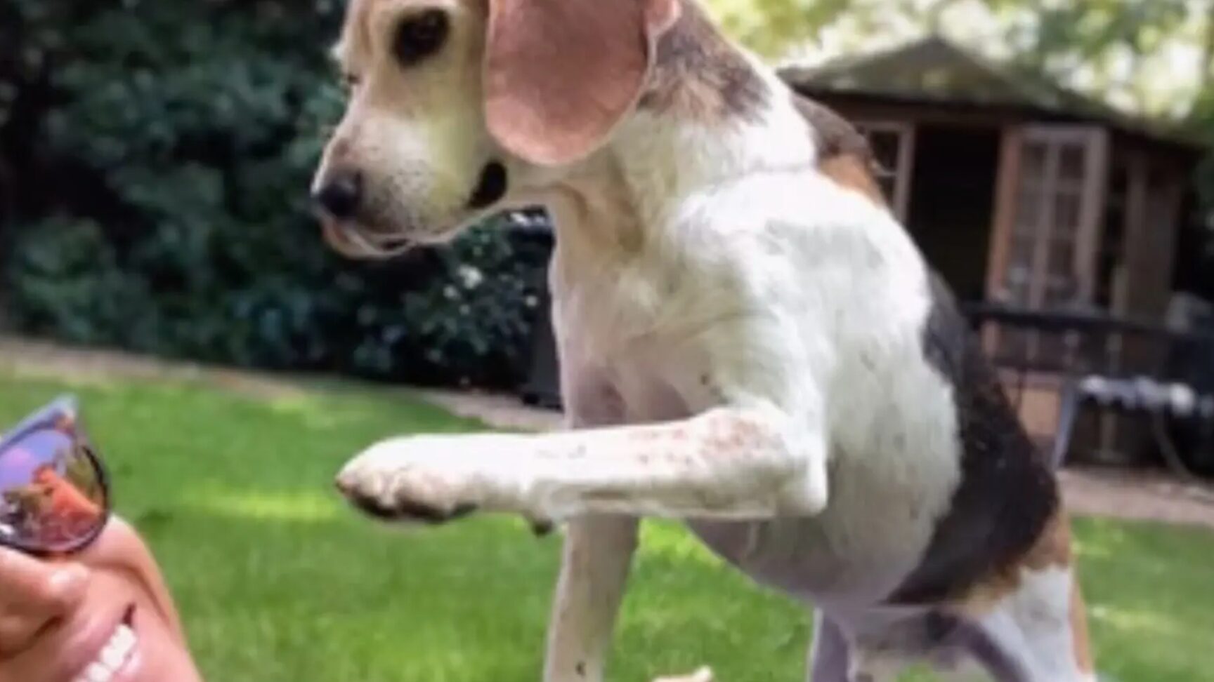 Era su gran compañero