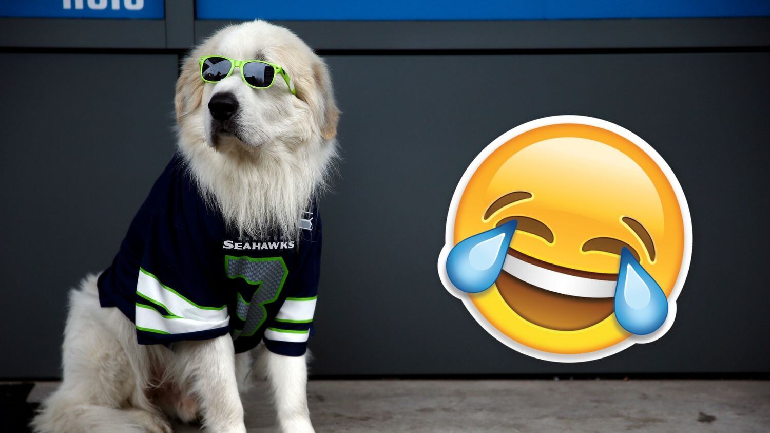 Perro gracioso