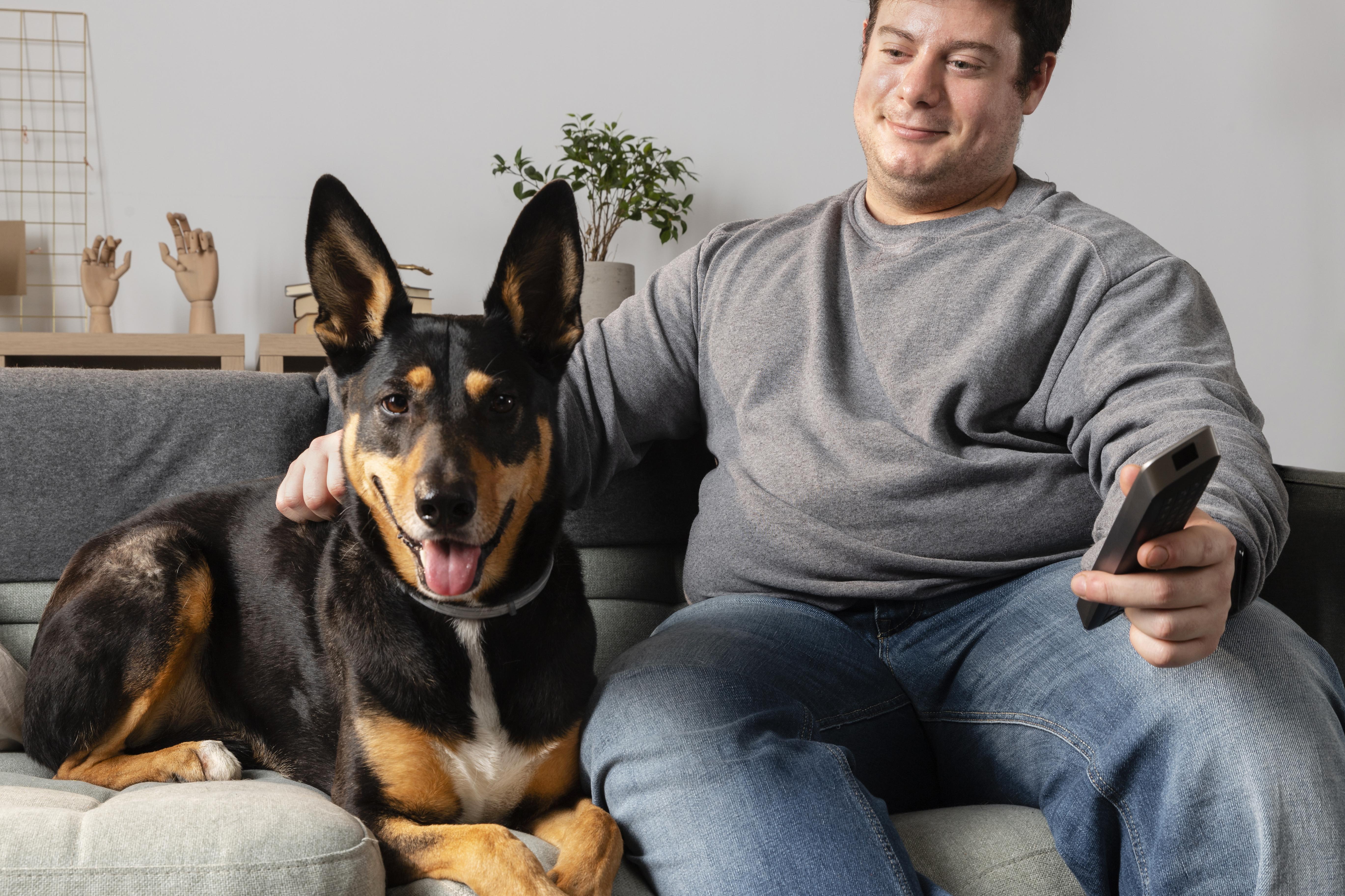 Muchos perros muestran un interés especial por programas en los que aparecen animales, sobre todo de su propia especie, y documentales de naturaleza, de acuerdo con diferentes estudios. Foto: Freepik.