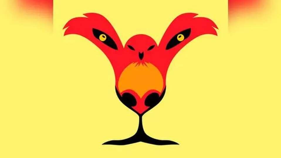 Elige una de las opciones.