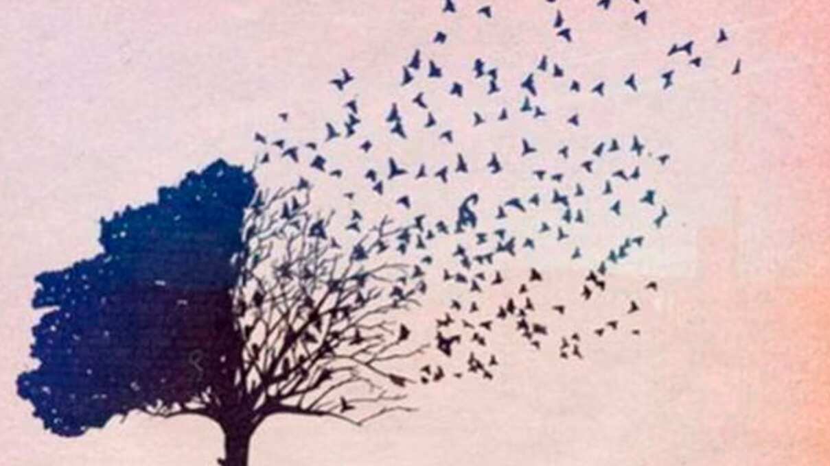 Descubre cuál es tu mayor defecto en la vida.