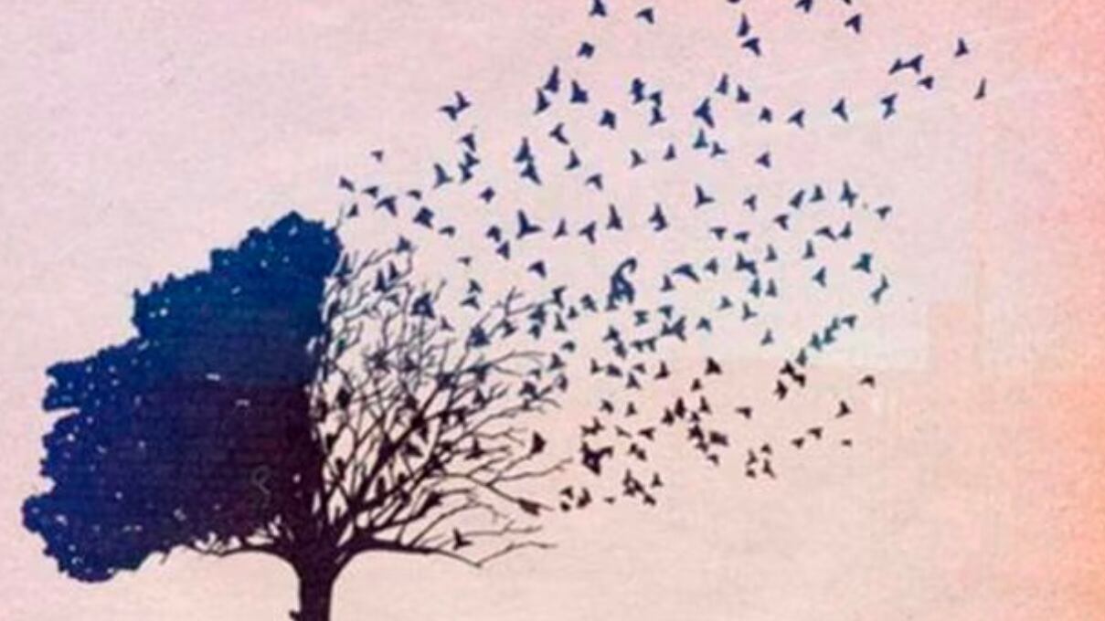 Descubre cuál es tu mayor defecto en la vida.