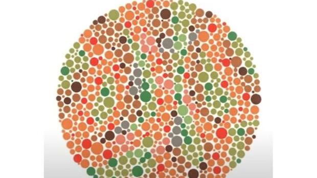 Encuentra el número oculto.